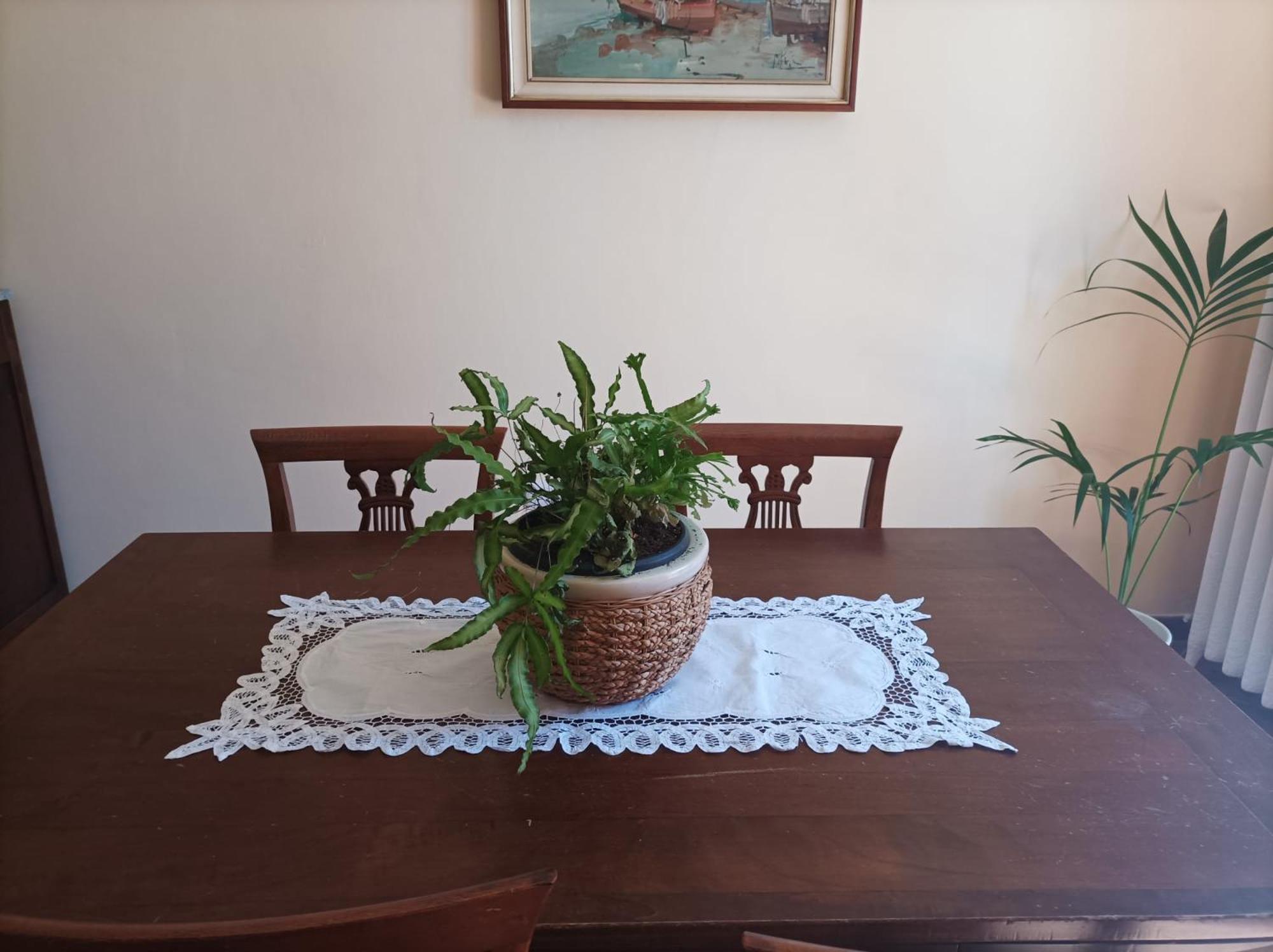 Bed And Breakfast Da Pio Castello  Экстерьер фото
