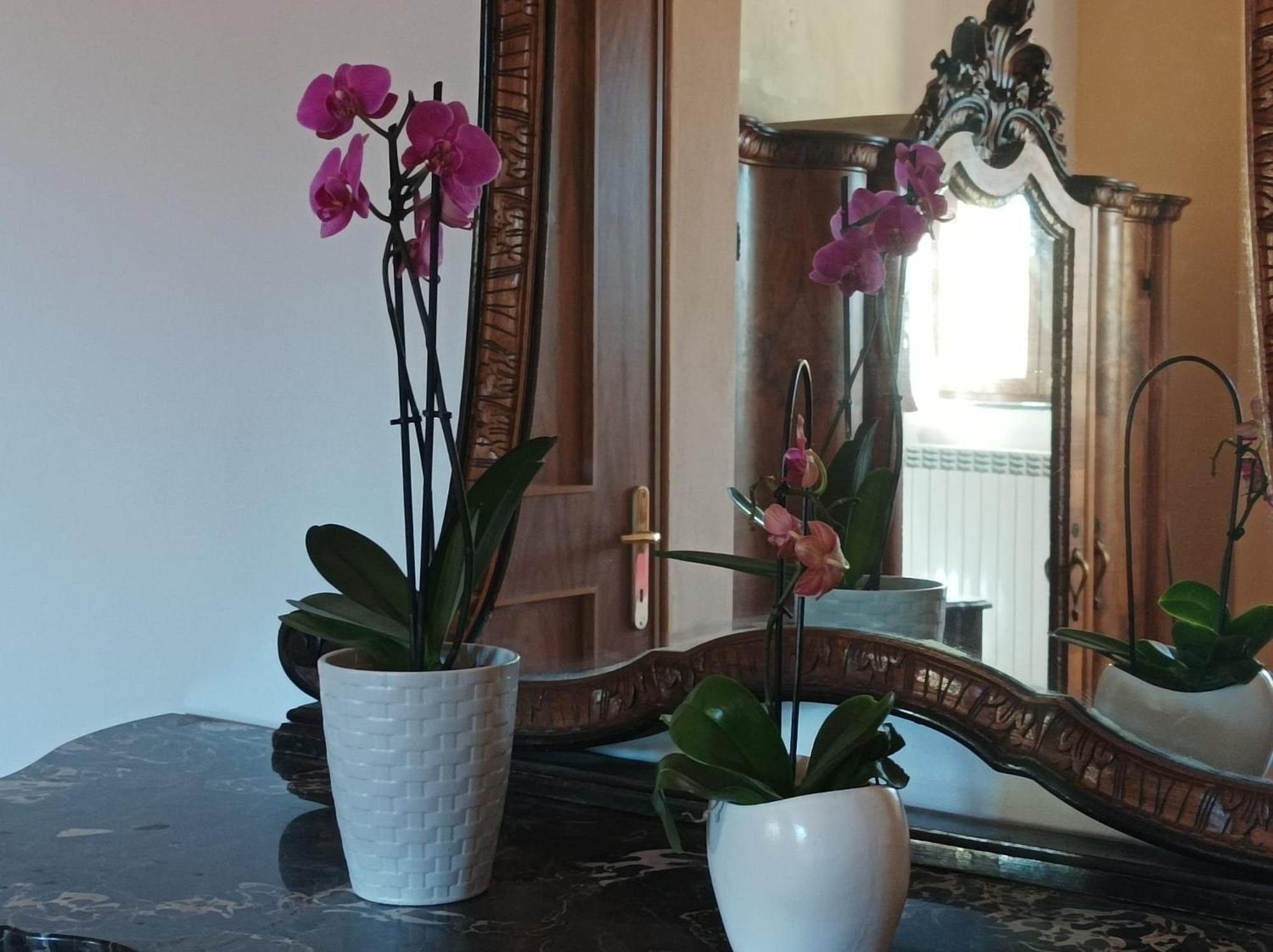Bed And Breakfast Da Pio Castello  Экстерьер фото