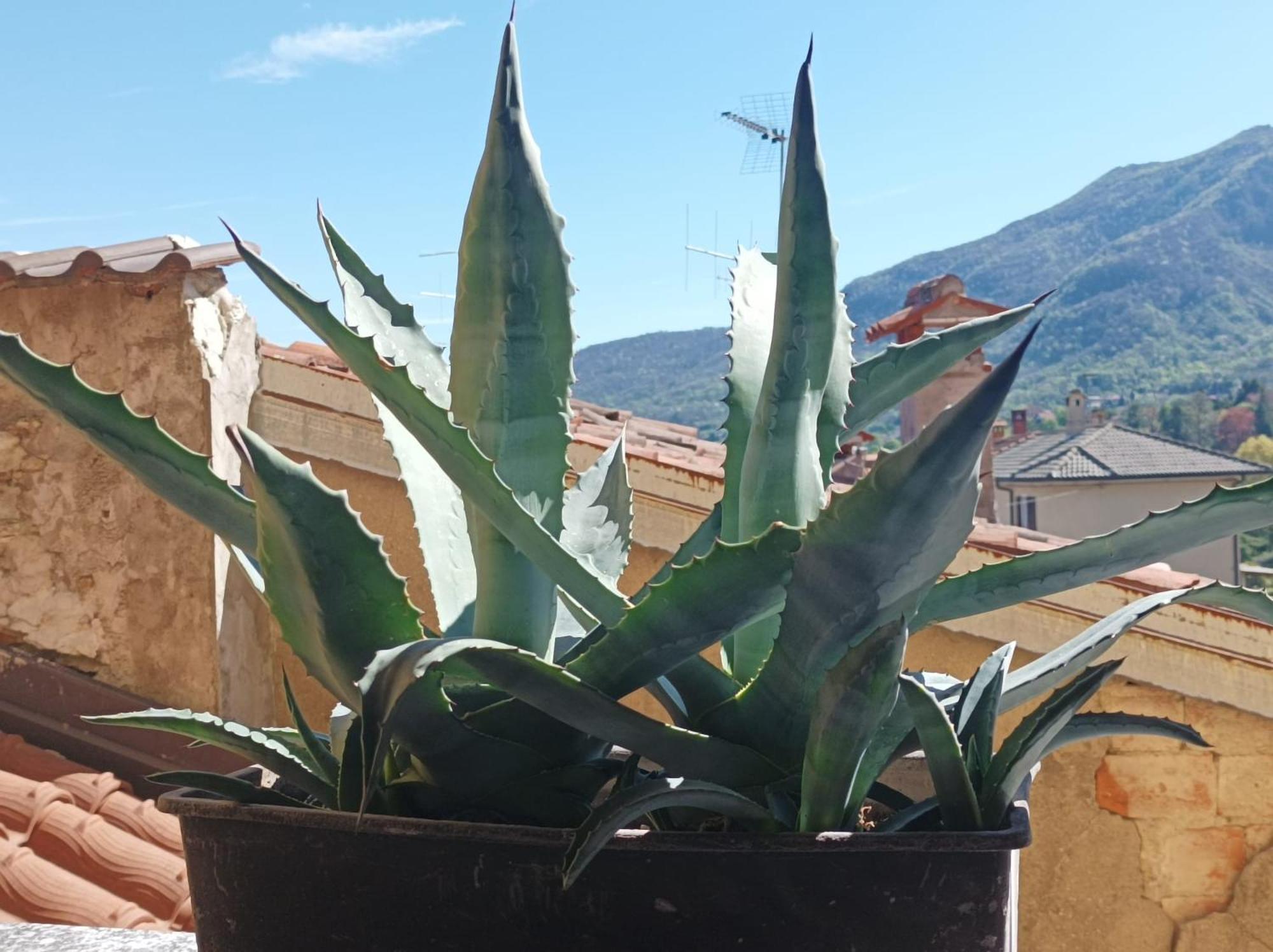 Bed And Breakfast Da Pio Castello  Экстерьер фото